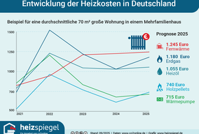 Entwicklung der Heizkosten in Deutschland Entwicklung der Heizkosten in Deutschland (pro Jahr): Prognose für Wohnung 2019: Fernwärme 910 Euro; Heizöl 845 Euro; Erdgas 735 Euro; Wärmepumpe 705 Euro.